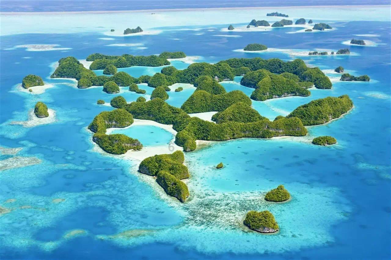 基督教是如何分裂的？天主教和基督新教之间又有什么区别？